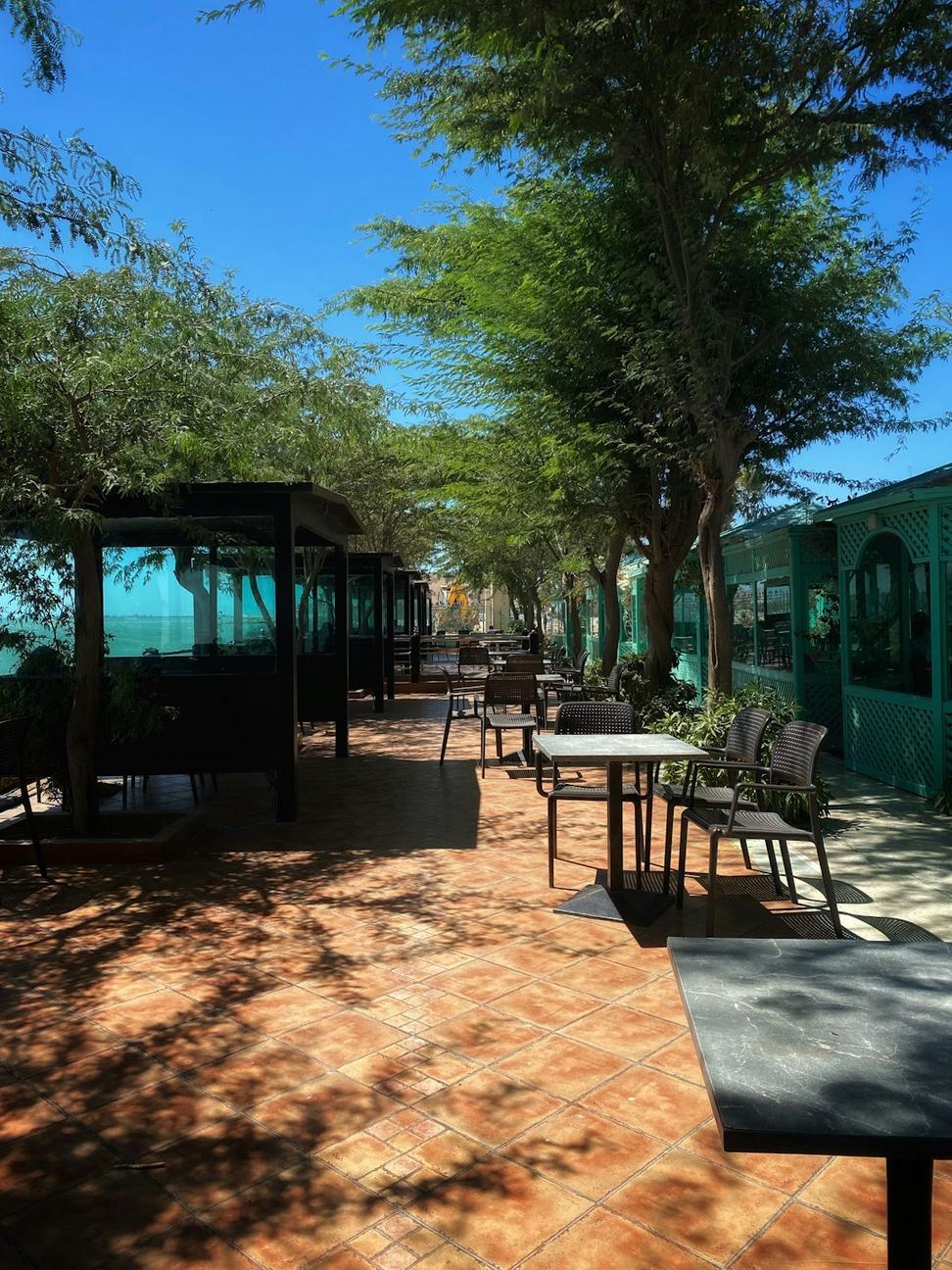 Terrace dining